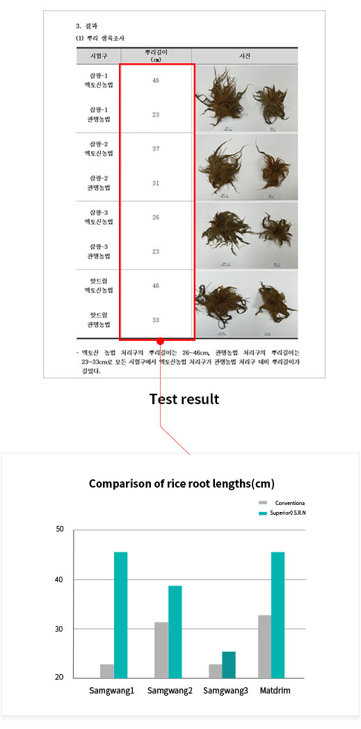 벼 테스트1