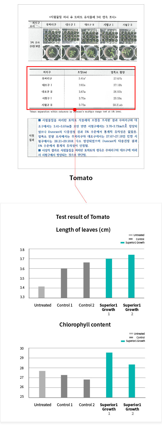 토마토테스트2