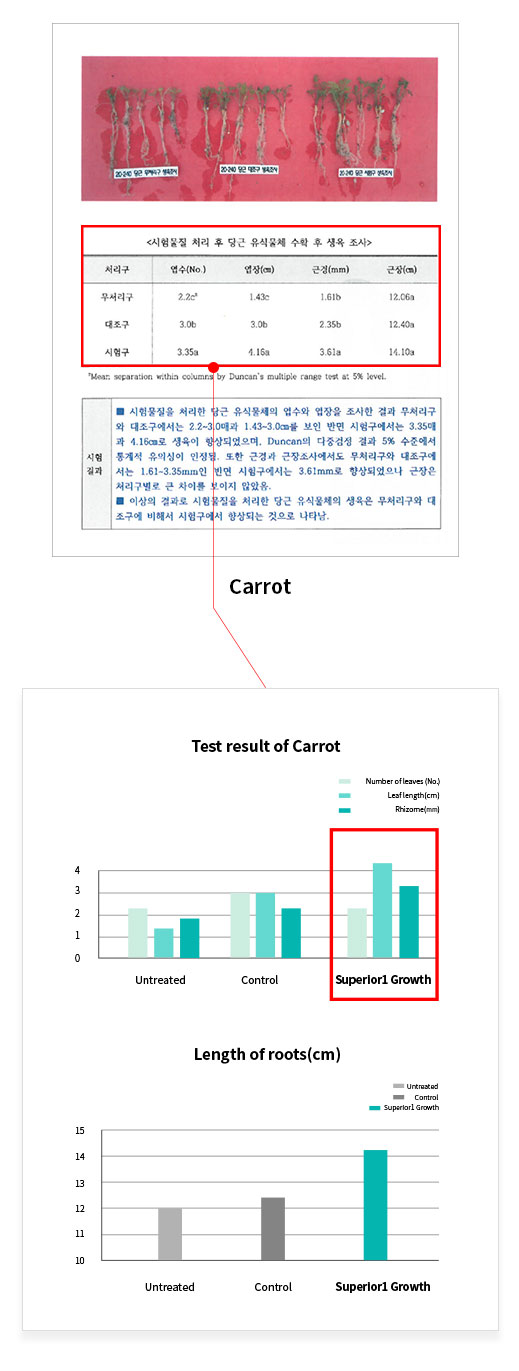 당근테스트