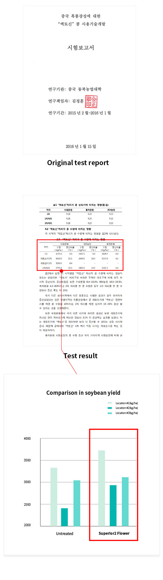 콩테스트