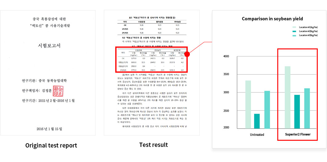 콩테스트6