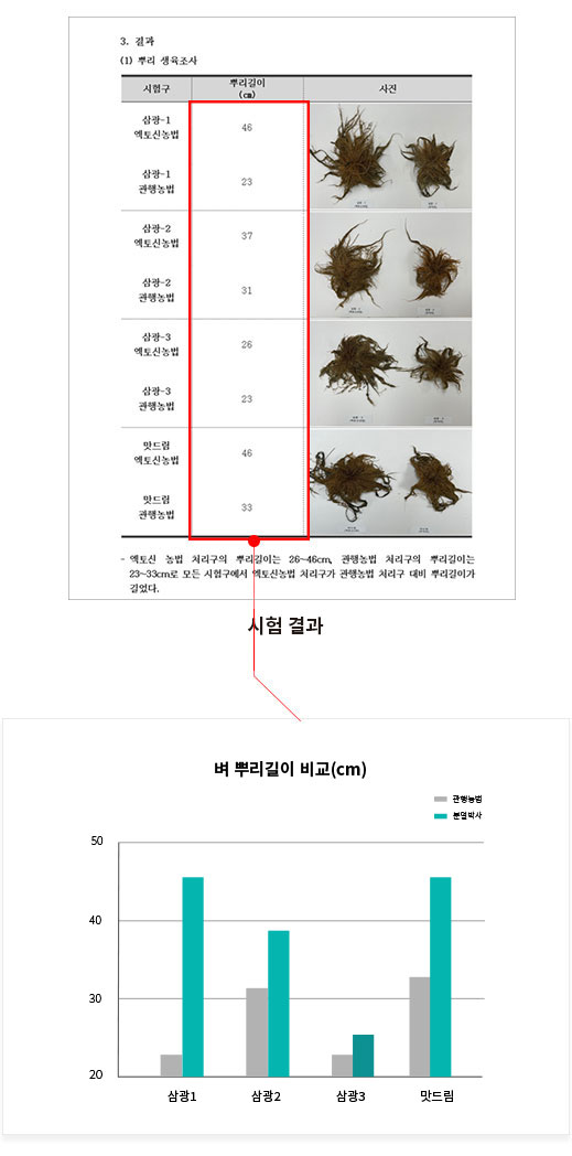 벼 테스트1