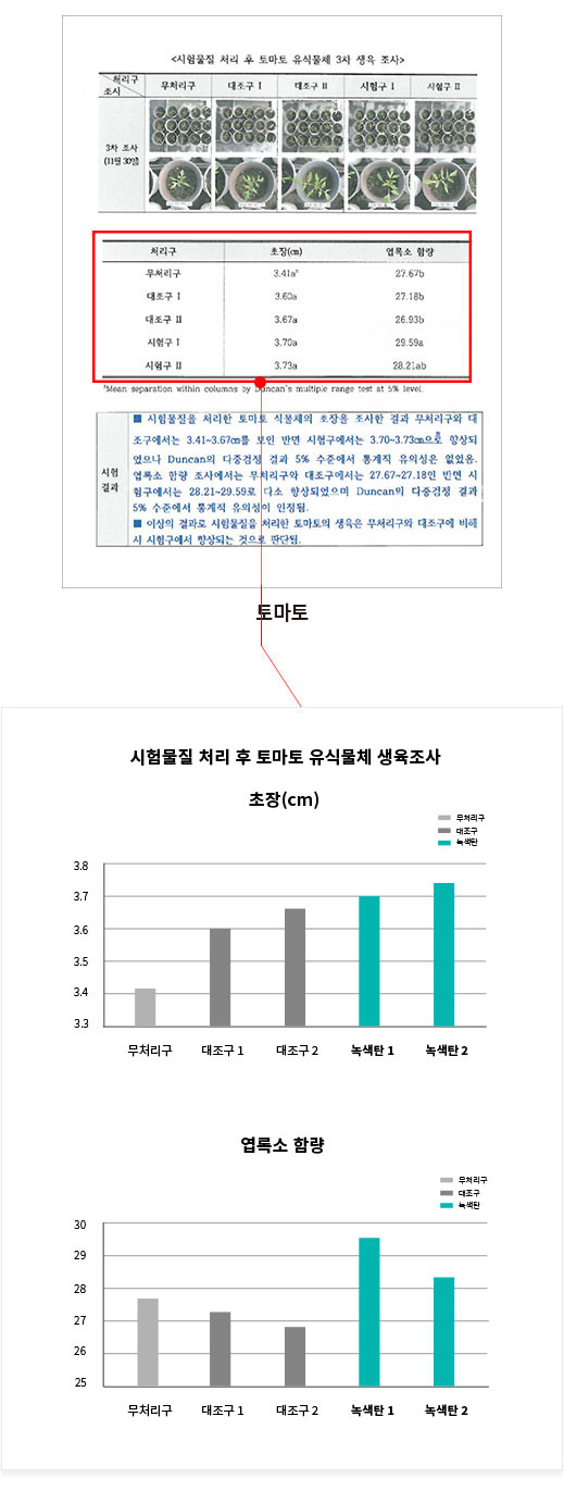 토마토테스트2