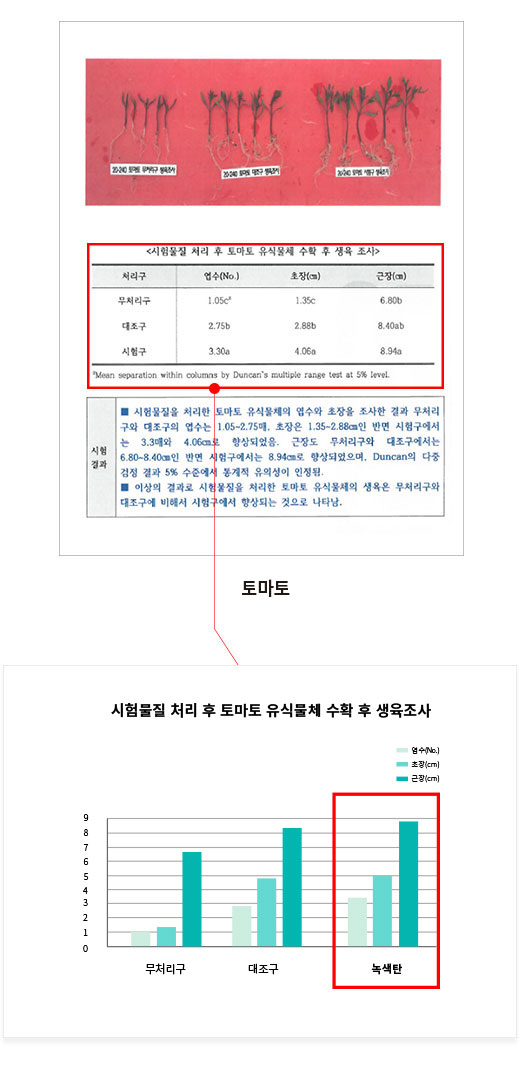 토마토테스트2-1