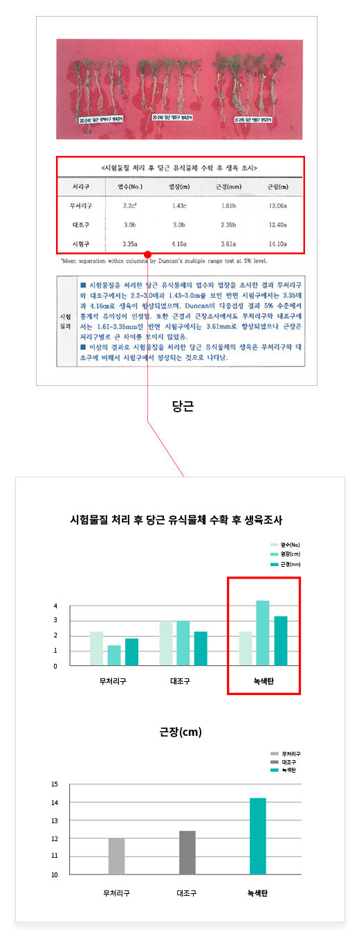 당근테스트