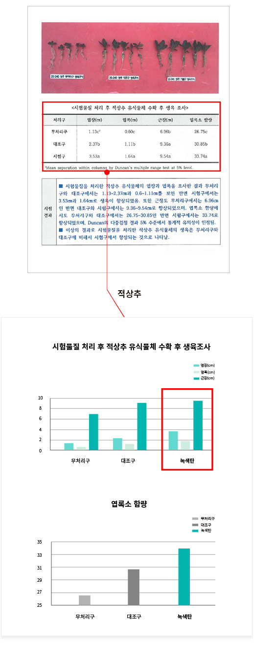 적상추테스트