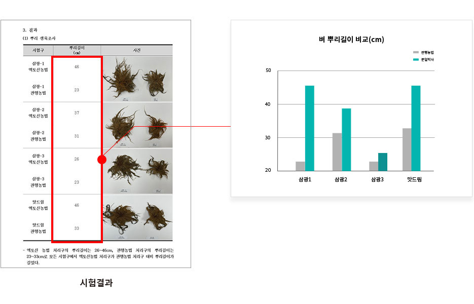 테스트1