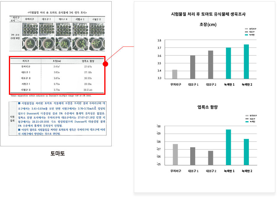 토마토테스트2