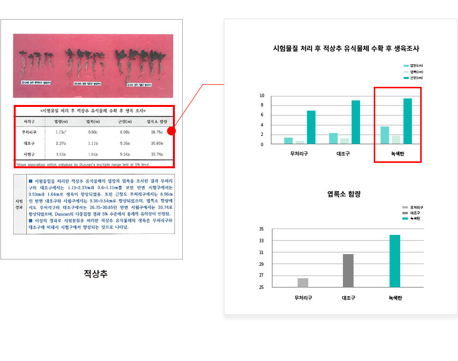 적상추테스트4