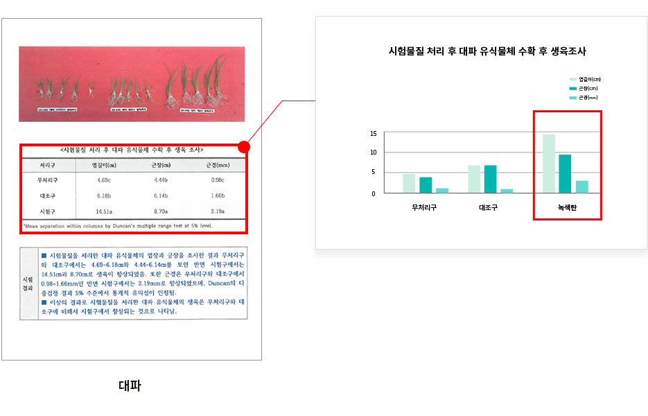 파테스트4