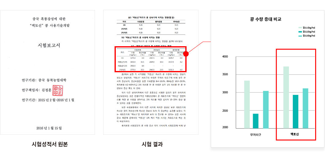 콩테스트6